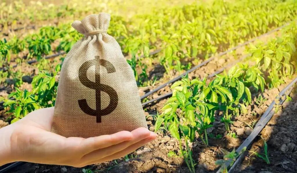 Governo mantém bloqueio de verba para seguro rural em 2025
