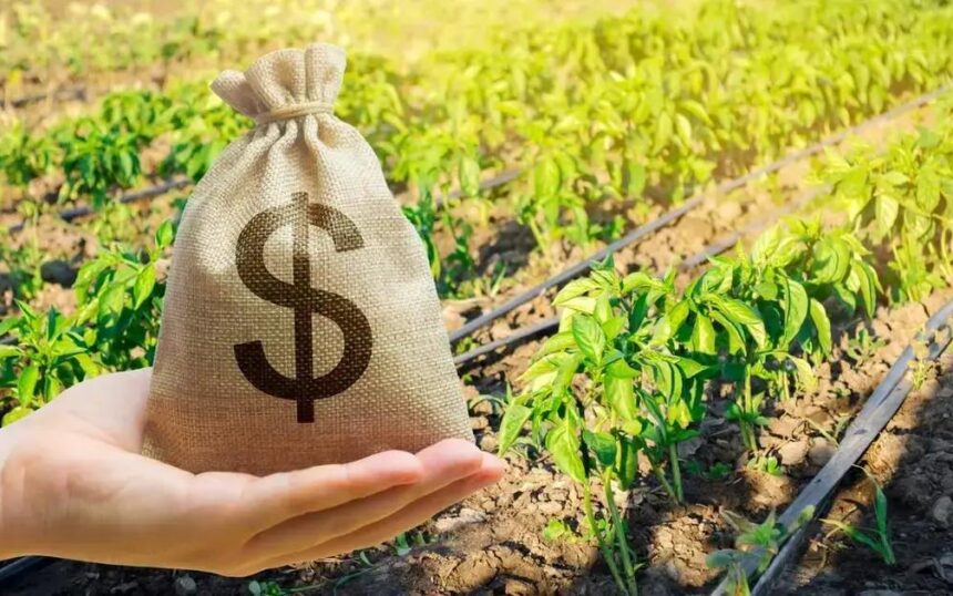 Governo mantém bloqueio de verba para seguro rural em 2025