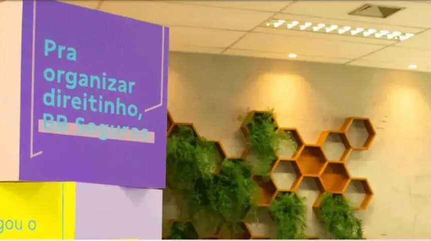 BB Seguridade registra queda de 15,7% em prêmios de seguros em agosto