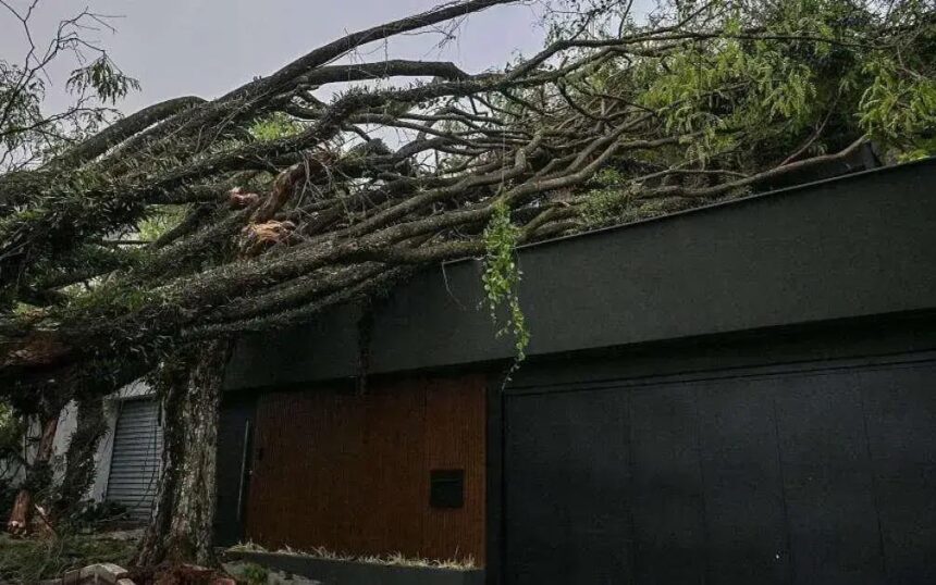 Por que os seguros residenciais contra desastres climáticos são raros no Brasil?